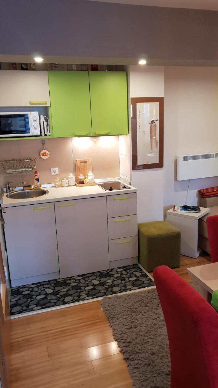 Apartman Konak 23-4 ズラティボール エクステリア 写真